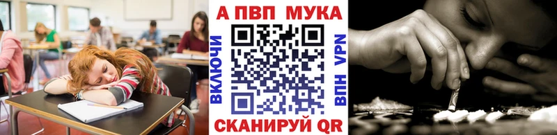 OMG ССЫЛКА  Сураж  A PVP СК 