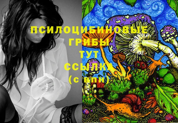 тгк Абинск