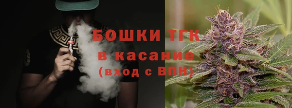 apvp Алзамай