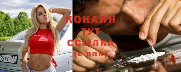 apvp Алзамай